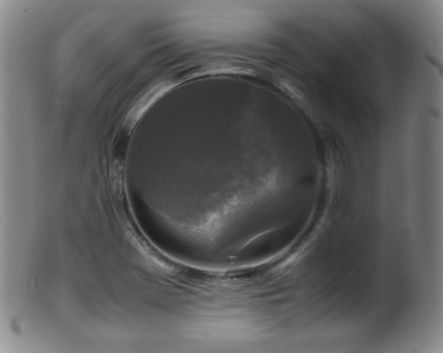 X0000099551369200805161441