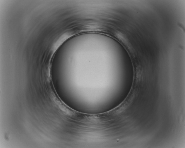 X0000099551370200805161441