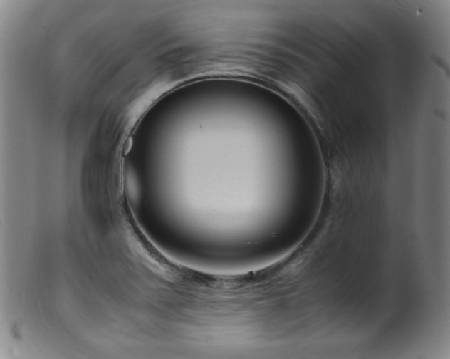 X0000099551371200805161441