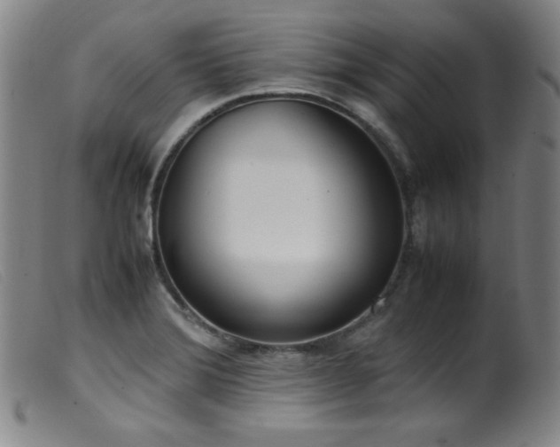 X0000099551372200805161441