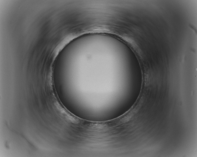X0000099551374200805161441