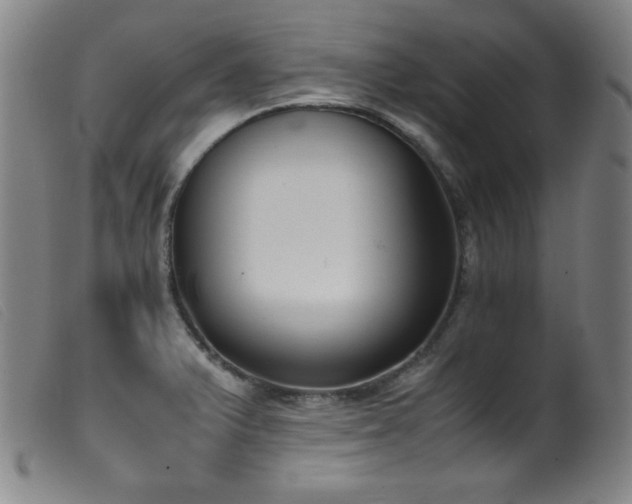 X0000099551375200805161441
