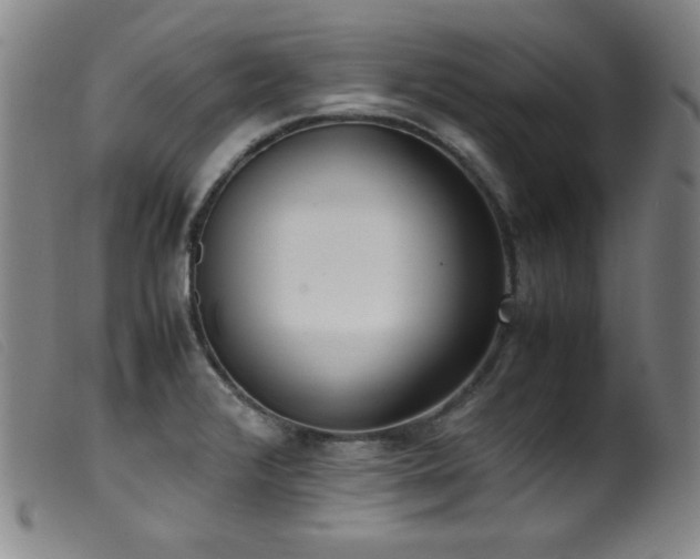 X0000099551376200805161441