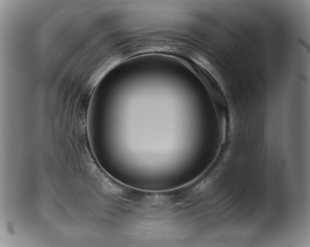 X0000099551377200805161441
