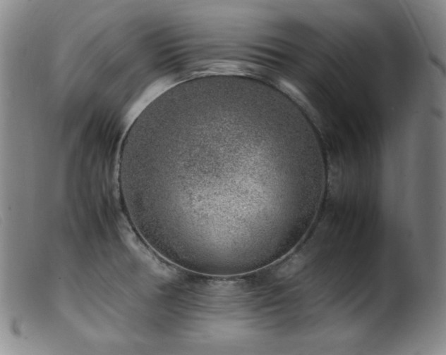 X0000099551378200805161441