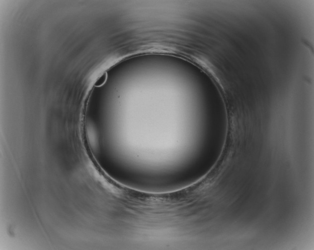X0000099551379200805161441