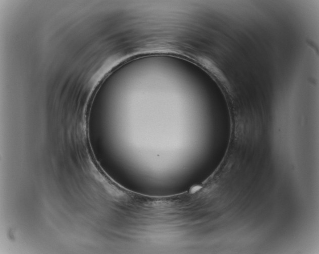 X0000099551380200805161441