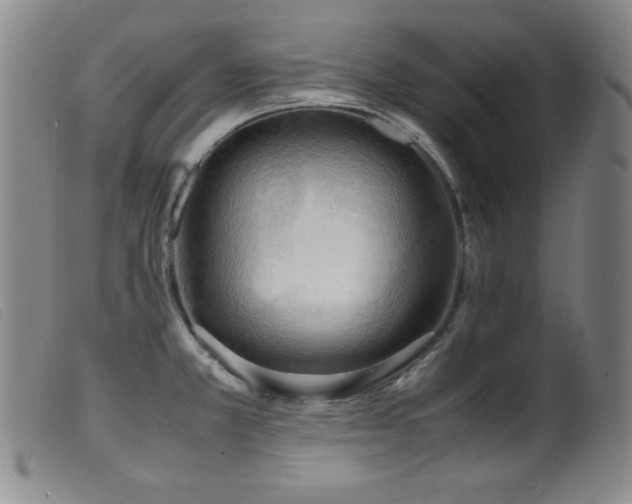 X0000099551381200805161441