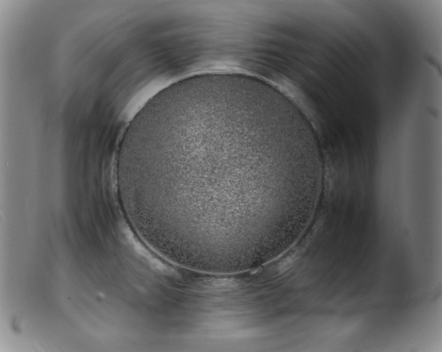 X0000099551382200805161441