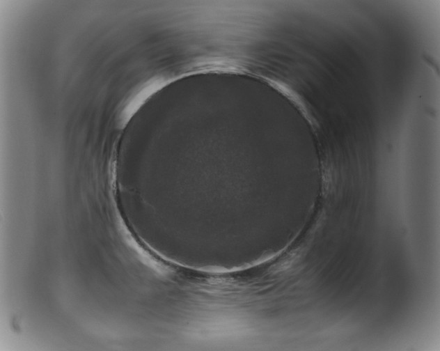 X0000099551383200805161441