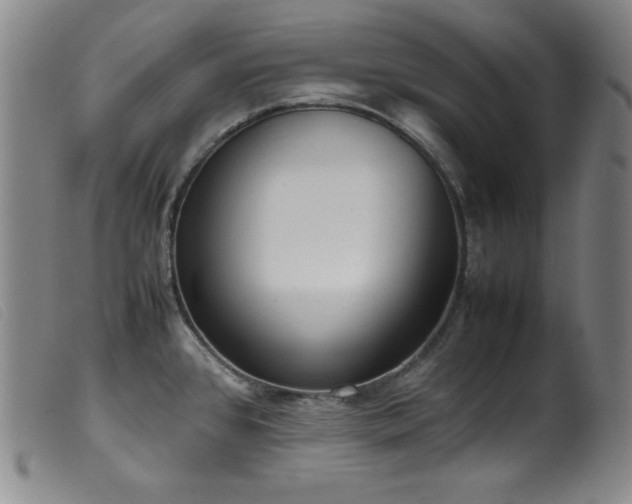 X0000099551384200805161441