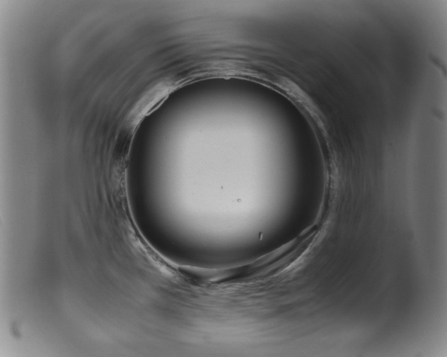 X0000099551385200805161441