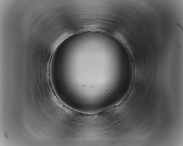 X0000099551386200805161441