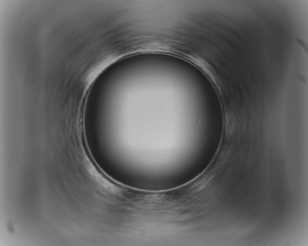 X0000099551387200805161441