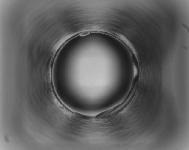 X0000099551388200805161441