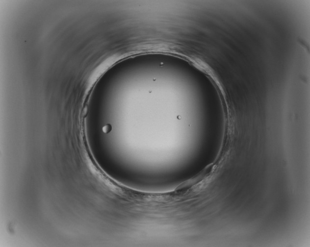 X0000099551389200805161441