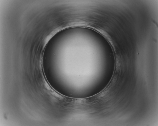 X0000099551390200805161441