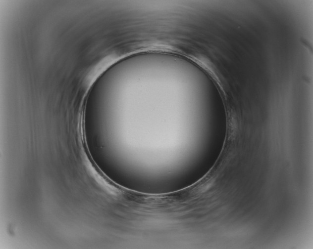 X0000099551391200805161441