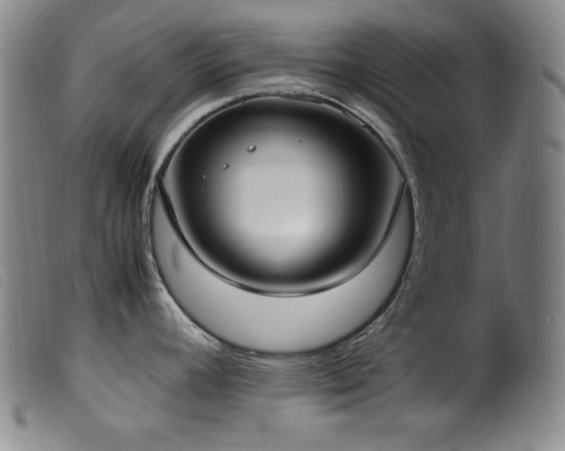 X0000099551392200805161441