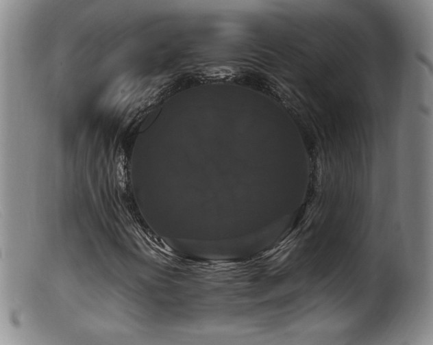 X0000099551394200805161440