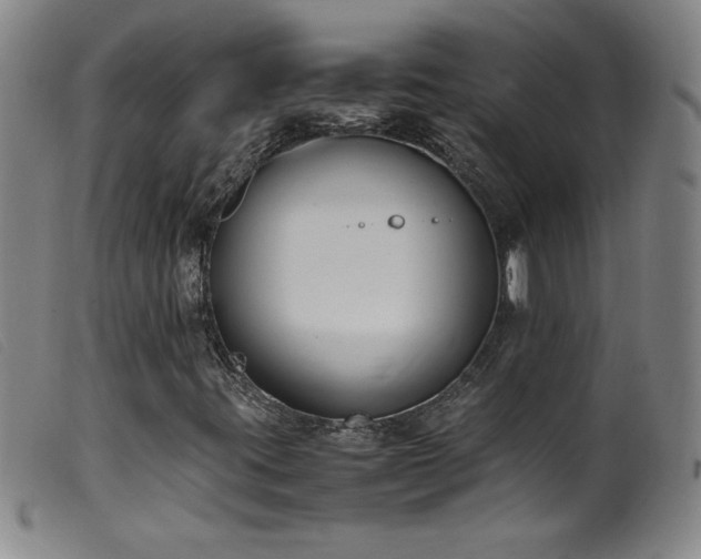 X0000099551395200805161440