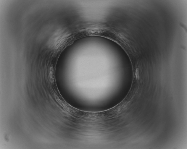 X0000099551396200805161440