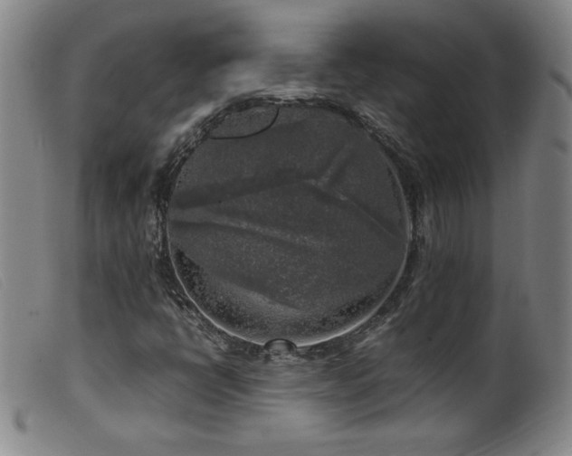 X0000099551398200805161440
