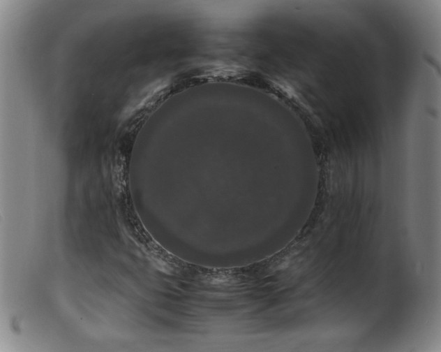 X0000099551399200805161440