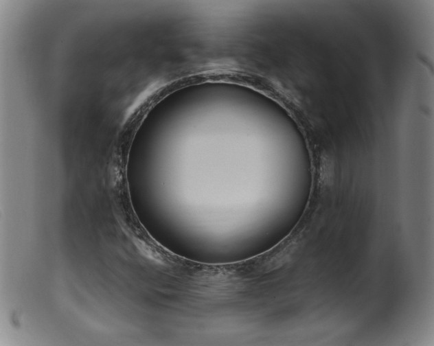 X0000099551400200805161440