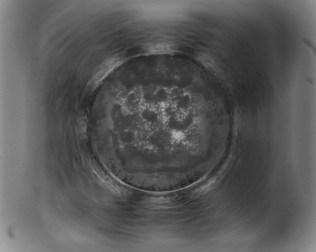X0000099551401200805161440