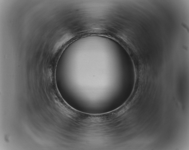 X0000099551402200805161440