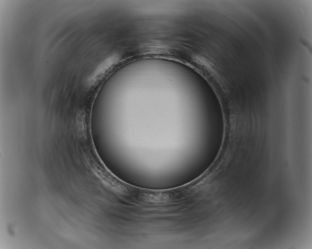 X0000099551403200805161440