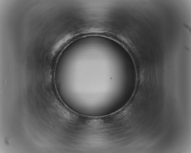 X0000099551406200805161440