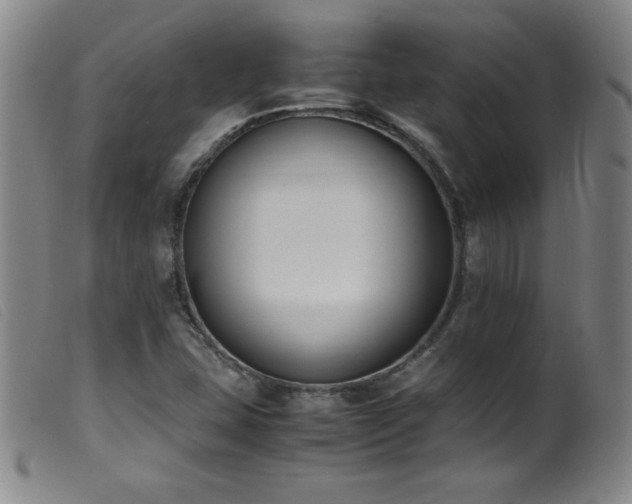 X0000099551407200805161440