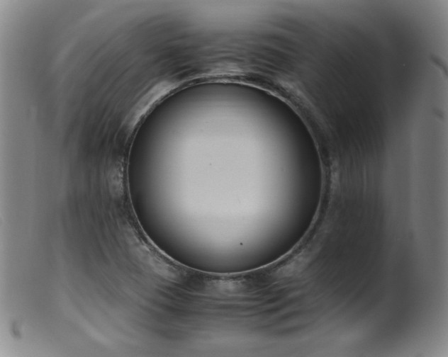 X0000099551409200805161440