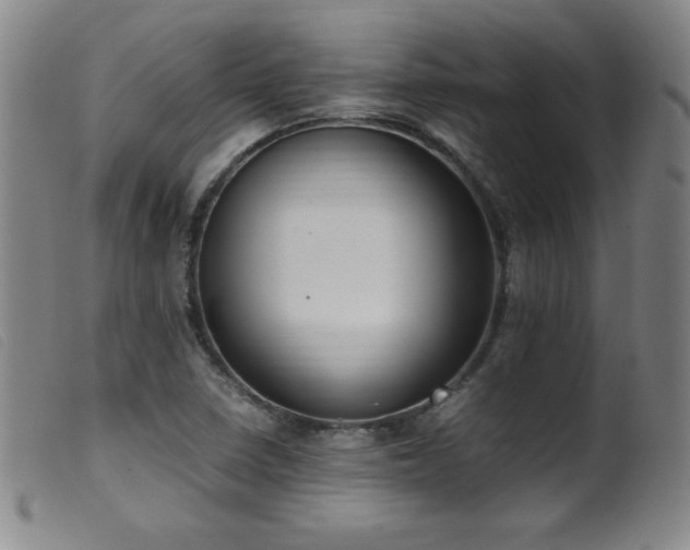 X0000099551410200805161440