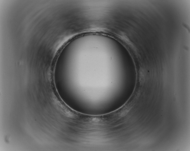 X0000099551412200805161440