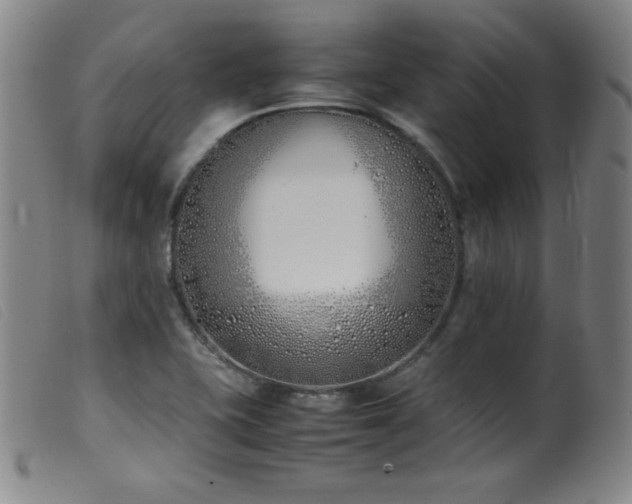 X0000099551415200805161440