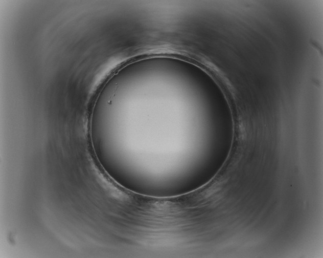X0000099551416200805161440