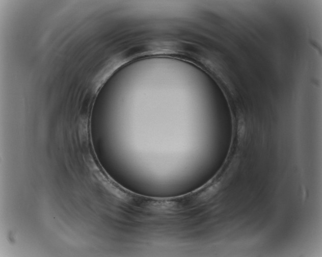 X0000099551417200805161440