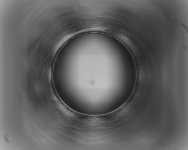 X0000099551420200805161441