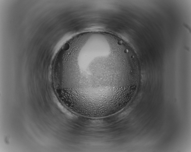 X0000099551421200805161441