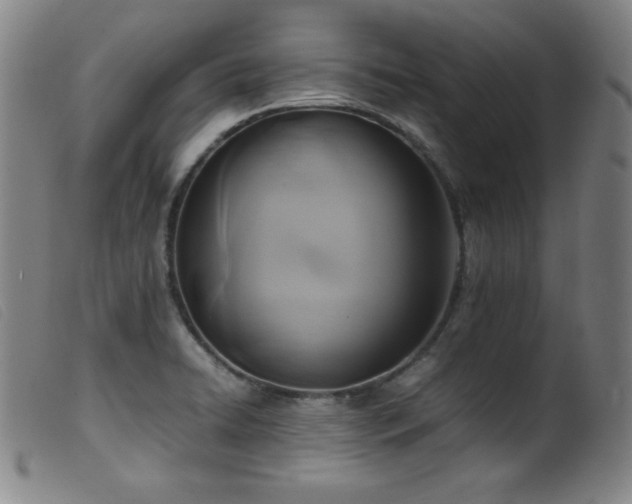 X0000099551422200805161441