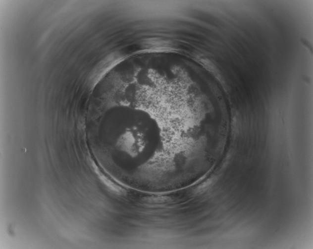 X0000099551425200805161441