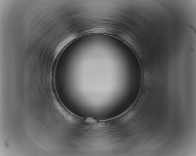 X0000099551426200805161441