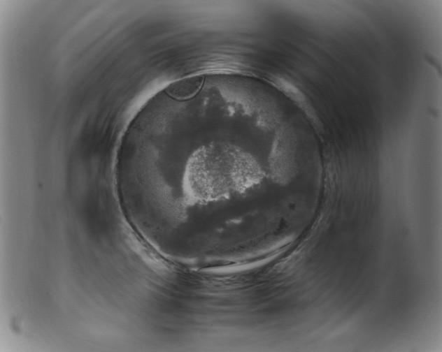 X0000099551427200805161441