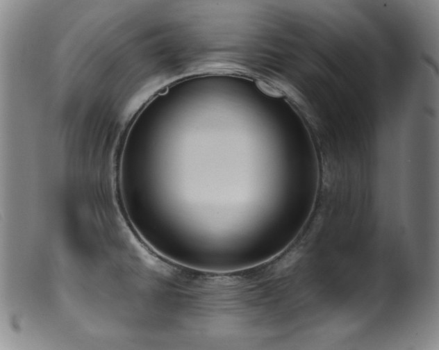 X0000099551430200805161441
