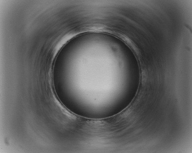 X0000099551432200805161441