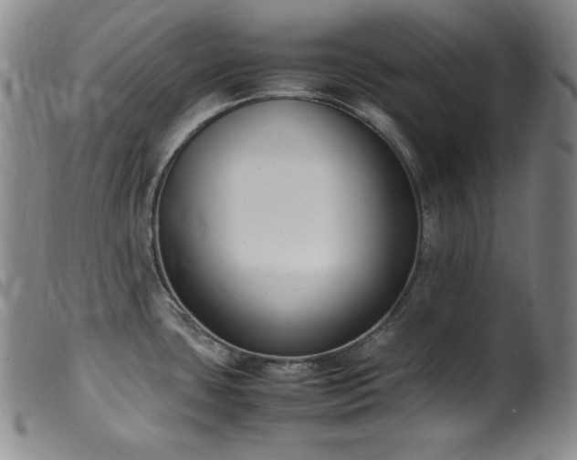 X0000099551435200805161441
