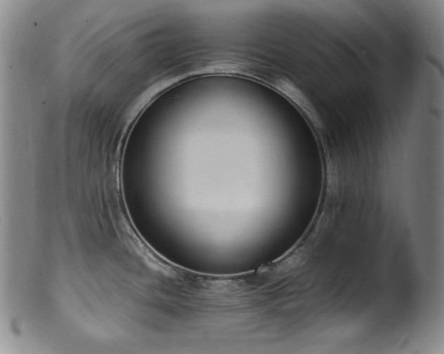 X0000099551436200805161441